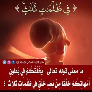 ما معنى: {يَخْلُقُكُمْ فِي بُطُونِ أُمَّهَاتِكُمْ خَلْقًا مِنْ بَعْدِ خَلْقٍ