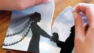 رواية البحث عن محلل كاملة