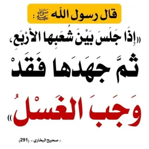 شرح حديث: إذا جلس بين شعبها الأربع