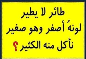 طائر لا يطير لونه اصفر وناكل منه