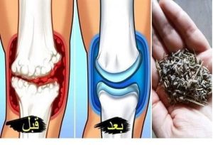 قـ،ـل وداعـ،ـ،ـا لألـ،ـ،ـم المفـ،ـاصـ،ـ،ـل وآلا م الـ،ـ ر و ما تيـ،ـ،ـزم سوف ترتاح من الالـ،ـم نـ،ـهـ،ـائـ،ـ،ـي