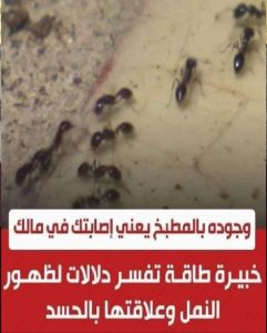 “وجوده بالمطبخ يعنى اصابـ ـ تك فى مالك” 4 غلامات لوجود النمل بتلك الاماكن بمنزلك تدل على الحسد