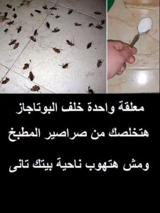 معلقة واحدة خلف البوتاجاز هتخلصك من صـ،ـراصير المطبخ