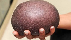 She found a brown stone on the ground, but when she approached and saw what it really was, she got scared and ran away!