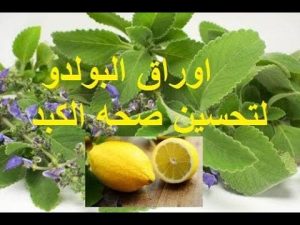 نبتة متواجدة بجانبك تفتح المسـ،ـالك البولية بشـ،ـكل رهـ،ـیب لتحسين صحه الكبد