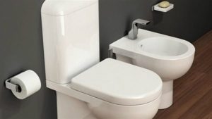 تعرف على السبب وراء عدم وجود "شطاف" في حمامات أوروبا وأمريكا