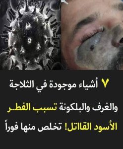 تحذير.. أشياء في الثلاجة تسبب الفطر الأسود : يجب التخلص منها فورا