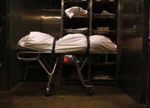 فتاة تتخل،،ص من خطيبة حبيبها «وسط الغيط» في البحيرة: قتلت،،،ها وقلعتها الدبلة