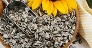 لـ،ـيـ،ـس للتـ،ـســليــة .. فوائد اللب السوري