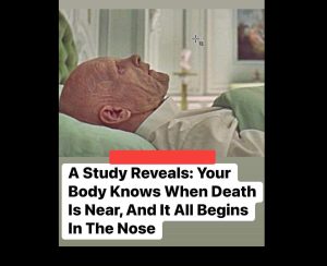 A Study Reveals: Your Body Knows When Death Is Near, And It All Begins In The Nose