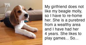 Girlfriend tells boyfriend ‘Either the dog goes or I go’. The man’s reply wins the internet