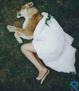 رواية قدموني قربان الجزء الأول