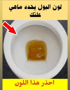 لون البول يكـ.ـشف عن حالتك الصحية تعـ.ـرف إذا كنت خـ.ـاليا من الأمـ ـراض أو تحـ.ـتاج الذهاب لطبيب