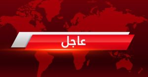 عاجل : غرق عدد كبير اغلبهم أطفال من المهاجرين في السواحل التركية قبل قليل .. اليك التفاصيل