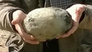 They noticed a weird fragrance while they were walking down the shore. It discovered that the fragrance was caused by a $70,000 stone. When they learned what the stone actually was, they were astounded.