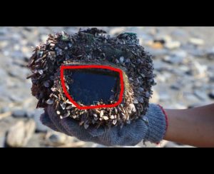While cleaning the beach with his friends, an 11-year-old receives a wonderful surprise – you’ll never guess what!