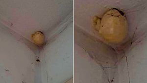 A woman asked on Facebook what the strange “egg” on the ceiling of her room was