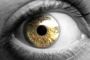 عين من عالم اخر الجزء الثاني