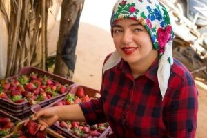 بعد مرور خمسة عشرة عاماً من الزواج. الأول