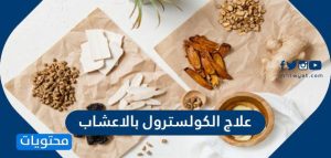 علاج الكوليسترول طبيعيا