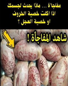 هل تعـ،ـلم ماذا يحــ،ـد،ث لجـ.ـسـ.،ــمك اذا أكـ،ـلت خـ.ـصـ،ـية الخروف أو خـ،ـصـ،ـية العجل ؟ وحـ،ـكـ.ـم أكـ.ـله