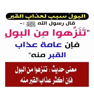 معلومة أول مرة تعرفها.. ما معنى «تنزهوا من البول فإن أكثر عذاب القبر منه»؟