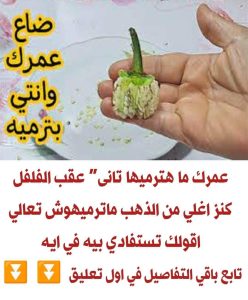 عقب الفلل كنز عمرك ماهترميها تاني