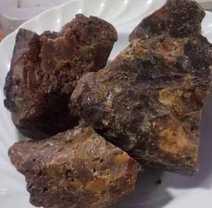 الحلتيت عشب المعجزة