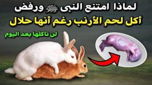 لماذا رفض النبي صلى الله عليه و سلم اكل لحم الأرنب؟!