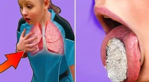 وصفة البصل والسكر لطرد البلغم طريقة فعالة مضمونة