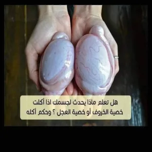 هل تعلم ماذا يحدث لجسمك إذا أكلت خصـية الخروف