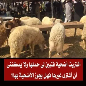 حكم الدين في ذبح “الأضحية الحامل”.