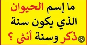 الحيوان الذي يكون سنة ذكر وسنة انثى