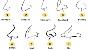 شكل انفك يكشف الكثير عنك فهل تعرف من تكون من بين هؤلاء مدهش بشكل لا يصدق