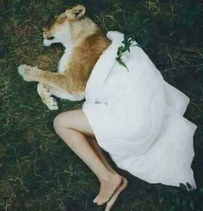 رواية قدموني قربان كاملة