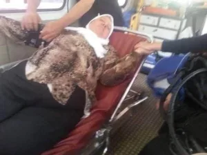 الجار الغريب كامله