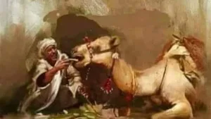 هذا قه.ر الجمل فكيف بقه.ر بشر؟؟؟ اللهم انا نعوذ بك من ق.هر الرجال