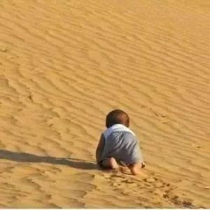 قصة ﻛﺎﻧﺖ ﻋﺎﺋﻠﺔ ﺗﻘﻮﻡ ﺑﺮﺣﻠﺔ ﺑﺮﻳﺔ ﻭﺃﺛﻨﺎﺀ ﺟﻠﻮﺳﻬﺎ اته اليهم طفل