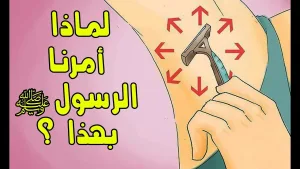 لماذا أمرنا الرسول ﷺ بغسل البراجم وحلق الع@انة ونتف الإبط ؟