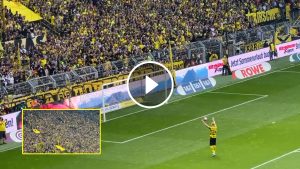 وداع هالاند