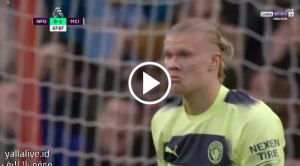 فرصة هالاند