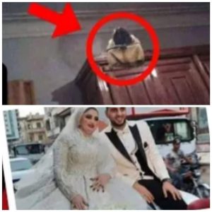 فلقوها في حالة غريبه جدا