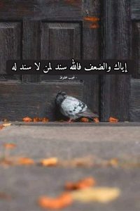 الله في عون العبد مدام العبد في عون اخيه