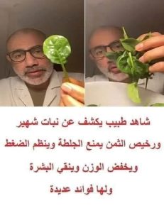 طبيب يكشف عن نبات شهير ورخيص الثمن يمنع الجلطة