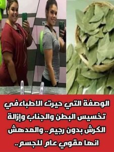 وصفة ورقة اللورا للتخسيس من الوصفات الشهيرة