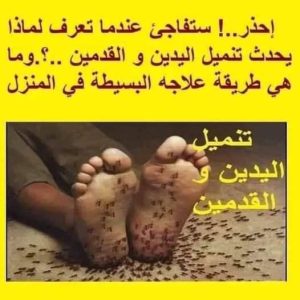 ممارسة الرياضة والرياضة: