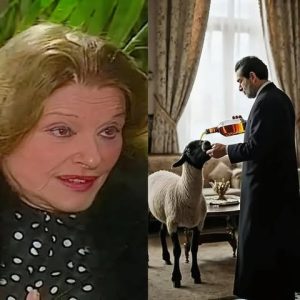 يوسف شاهين والخروف