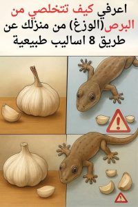 كيفية طرد البرص الوزغ من المنزل عن طريق 8 أساليب طبيعية بسيطة