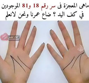ماهى المعجـ,,ـزة فى سـ,,ـر رقم ١٨ و٨١ الموجودين في كـ,,ـف اليد ؟