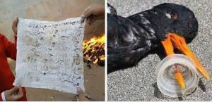 مش عارف اقولك ايه يا صالح